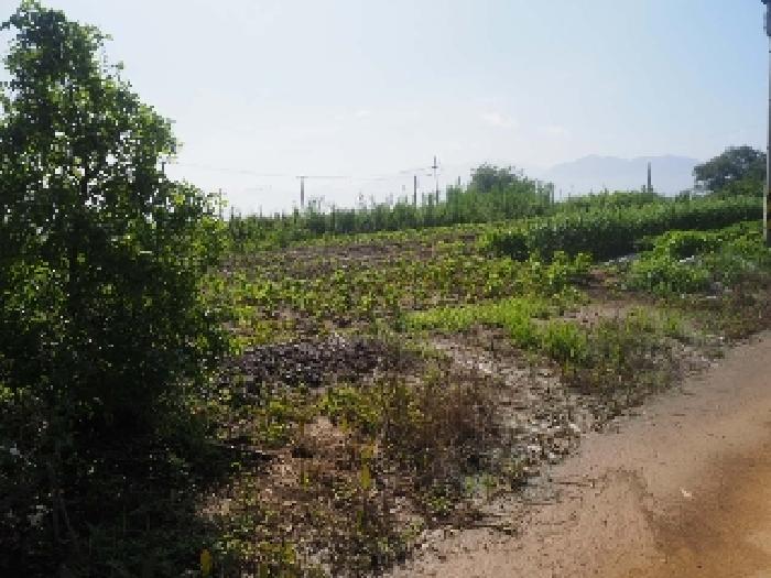 밀양시 상남면 동산리 전 경매 물건 사진