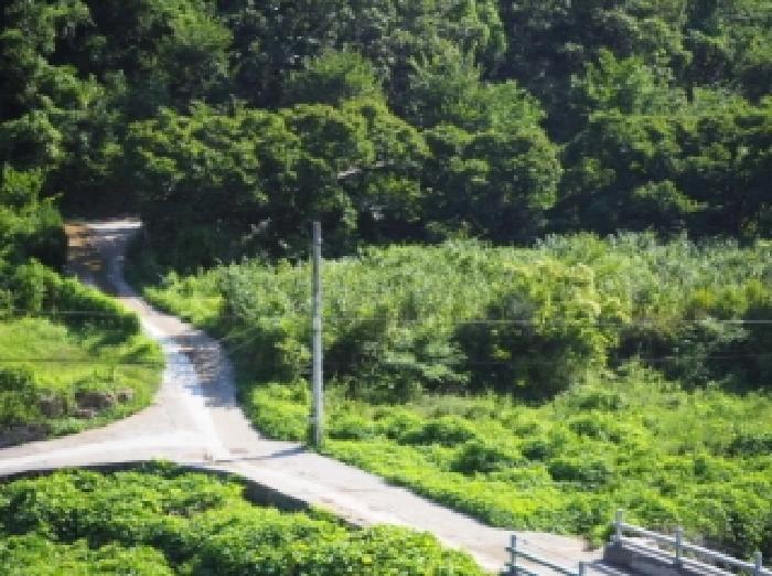 밀양시 단장면 국전리 답 경매 물건 사진