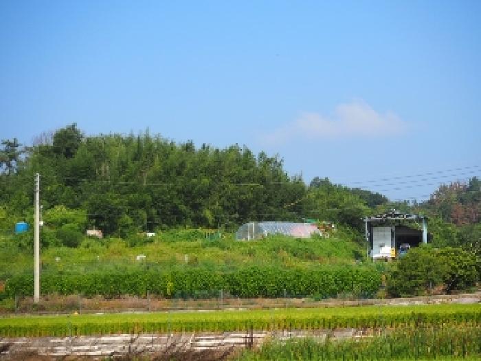 창녕군 대지면 용소리 전 경매 물건 사진
