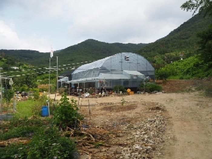 밀양시 삼랑진읍 우곡리 답 경매 물건 사진