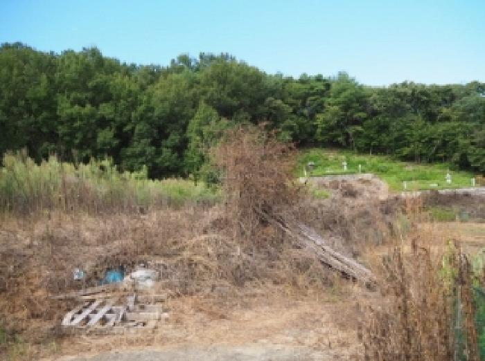 밀양시 부북면 용지리 답 경매 물건 사진