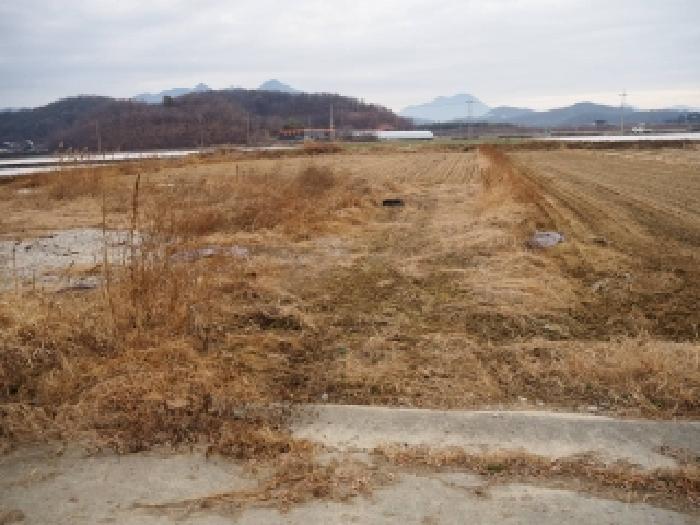 창녕군 장마면 장가리 답 경매 물건 사진