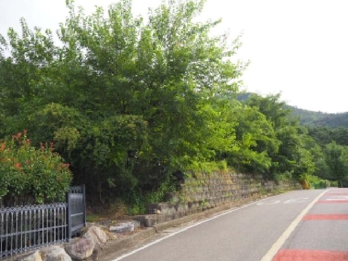 창녕군 영산면 교리 전 경매 물건 사진