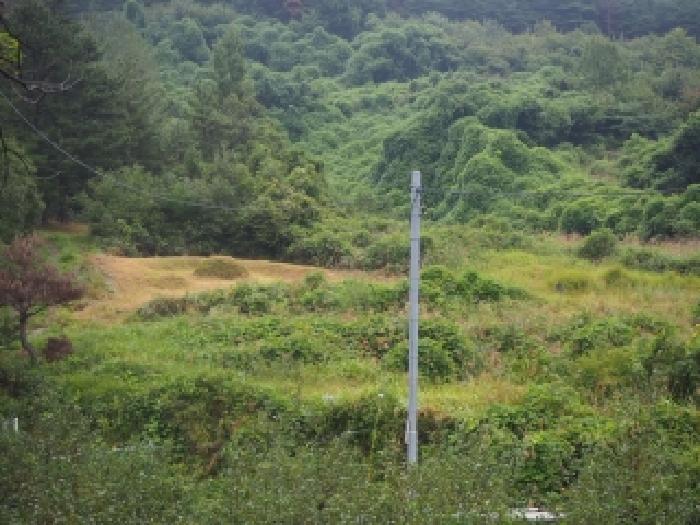 밀양시 산내면 송백리 답 경매 물건 사진