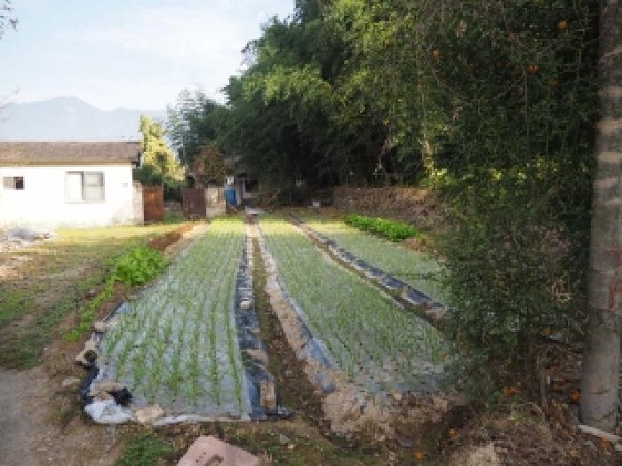 창녕군 부곡면 온정리 대지 경매 물건 사진