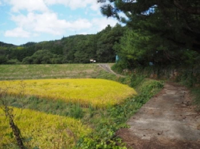 창녕군 부곡면 거문리 답 경매 물건 사진