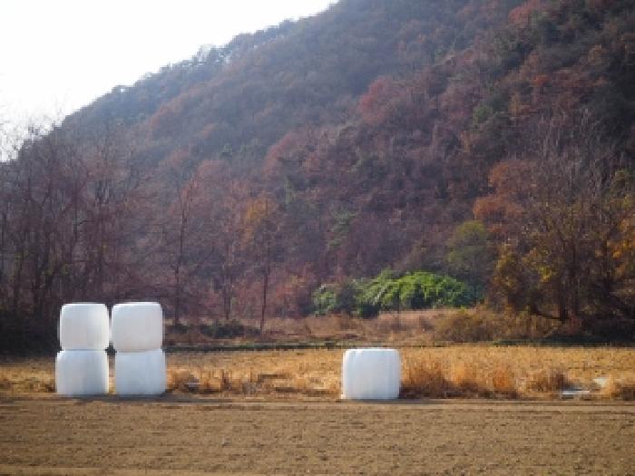 밀양시 초동면 덕산리 전답 경매 물건 사진