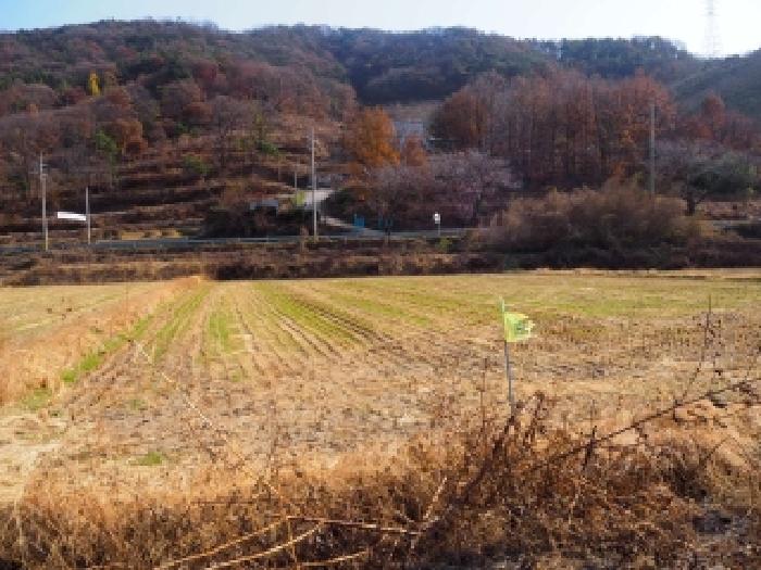 밀양시 초동면 덕산리 답 경매 물건 사진
