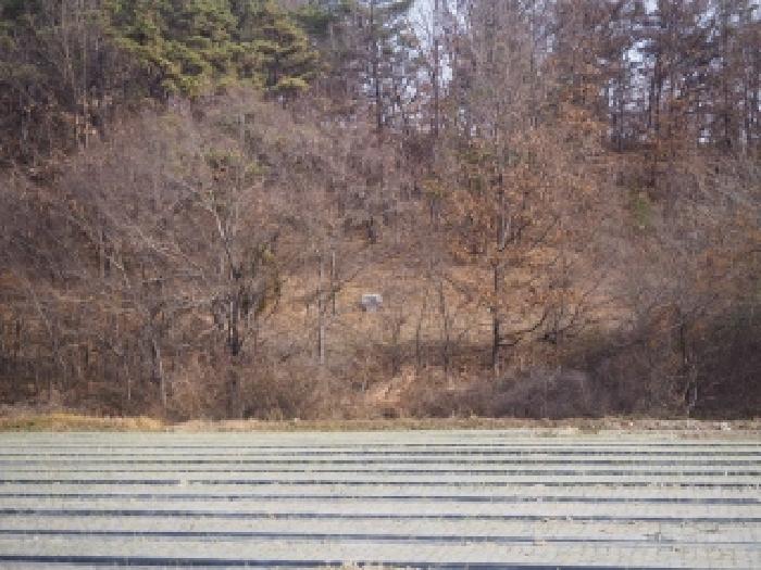 창녕군 남지읍 성사리 전 경매 물건 사진