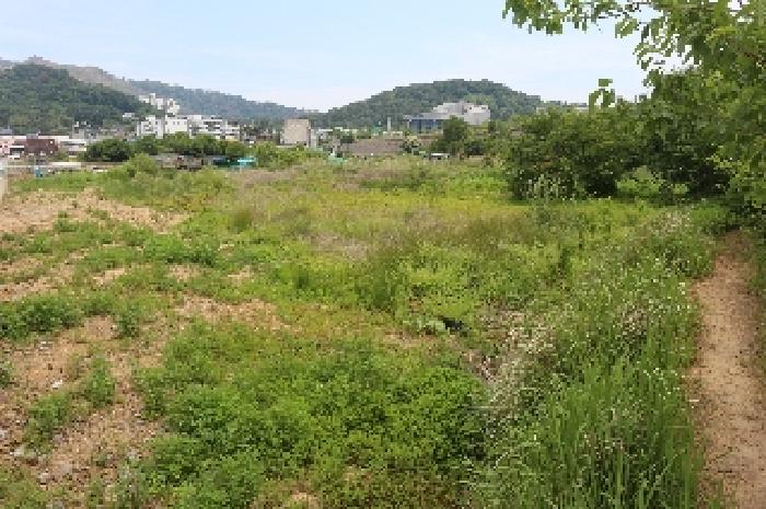 밀양시 교동 926-3 답 경매 물건 사진