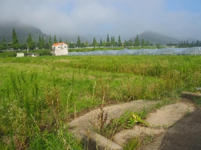밀양시 상남면 연금리 전답 경매 물건 사진