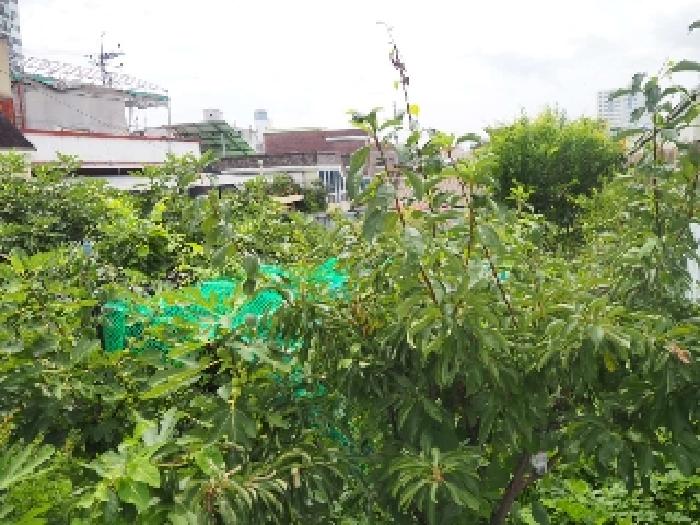 밀양시 가곡동 728-125 대지 경매 물건 사진