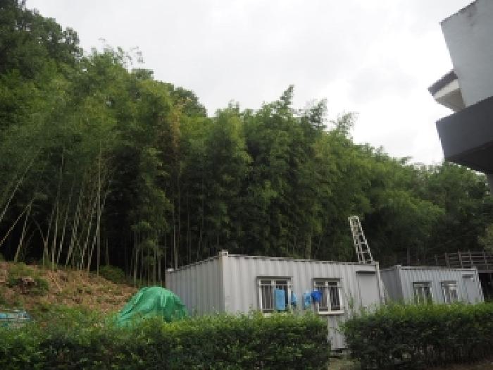 창녕군 길곡면 증산리 임야 경매 물건 사진
