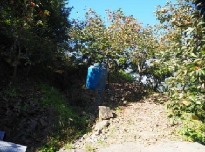 밀양시 상동면 신곡리 답 경매 물건 사진