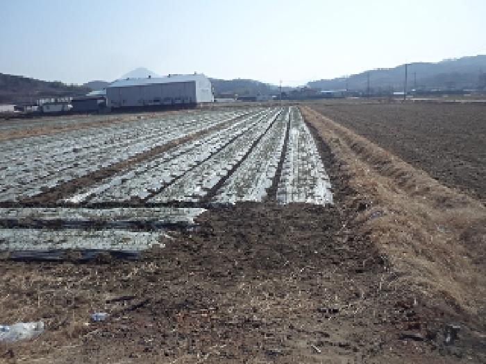창녕군 계성면 봉산리 답 경매 물건 사진