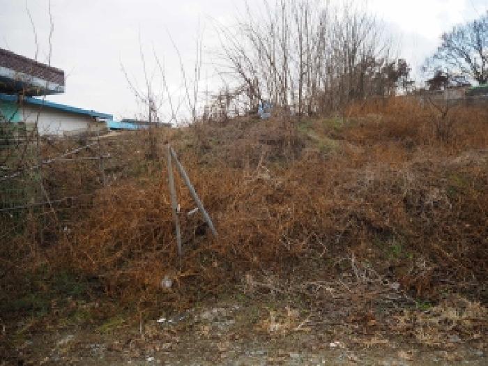 창녕군 영산면 월령리 전 경매 물건 사진
