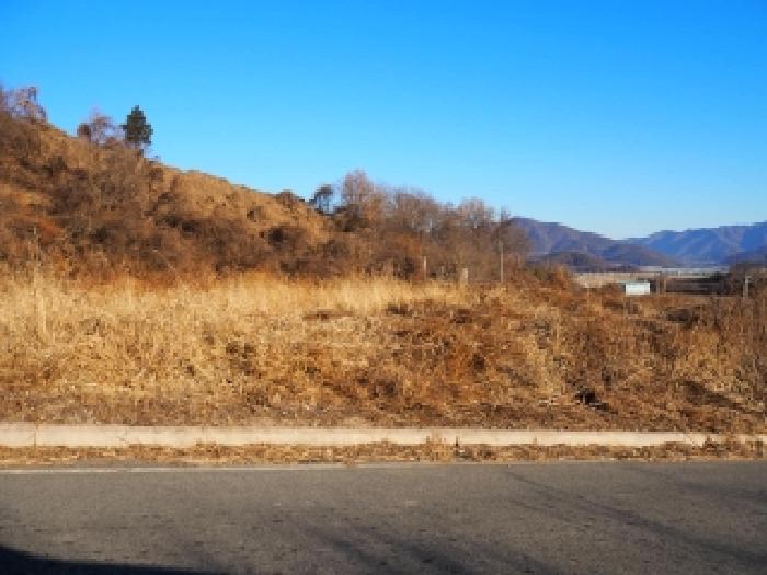밀양시 초동면 반월리 전답 경매 물건 사진