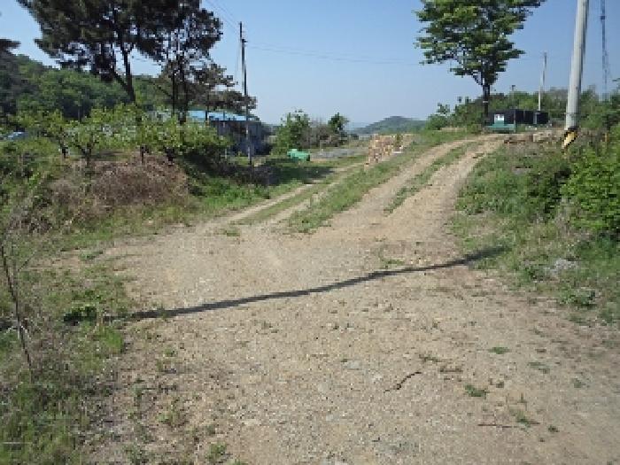 창녕군 도천면 덕곡리 답 경매 물건 사진