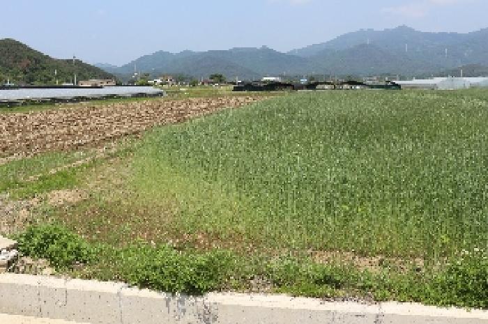밀양시 부북면 청운리 답 경매 물건 사진