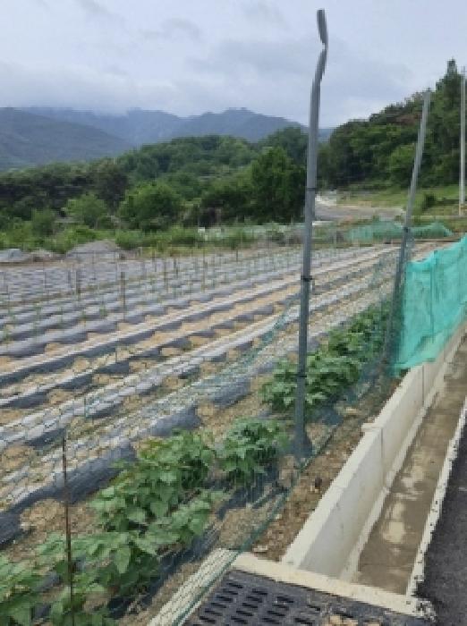 창녕군 창녕읍 교리 전 경매 물건 사진