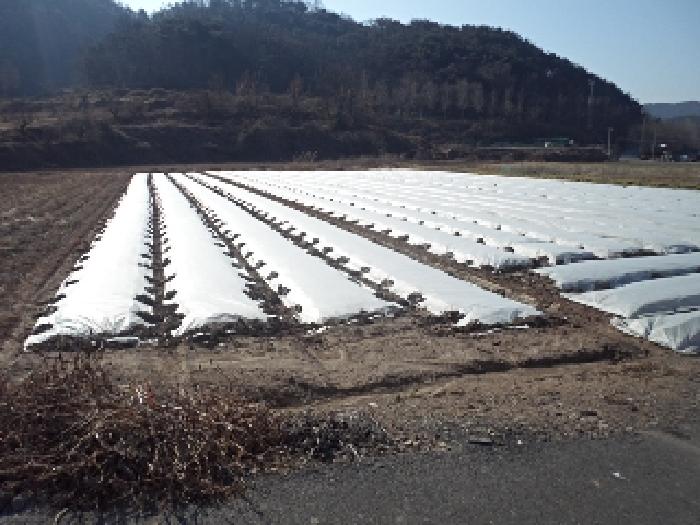 창녕군 유어면 선소리 답 경매 물건 사진