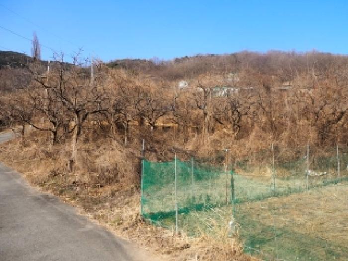 밀양시 산내면 임고리 전답 경매 물건 사진