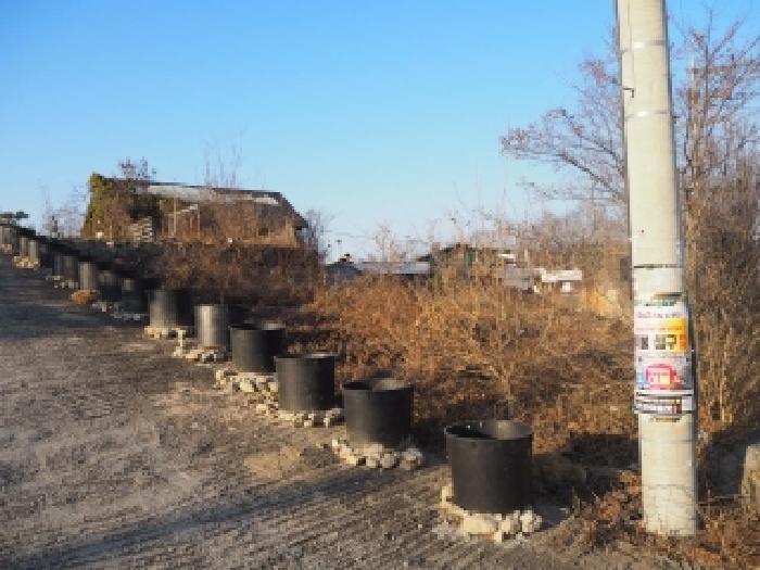 밀양시 하남읍 수산리 대지 경매 물건 사진