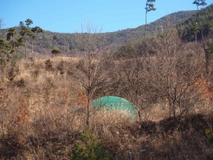 밀양시 단장면 안법리 전 경매 물건 사진