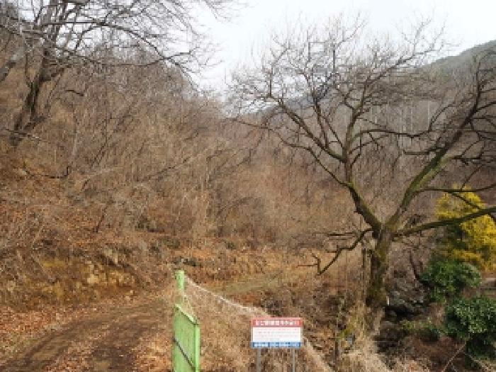 밀양시 단장면 사연리 전답 경매 물건 사진