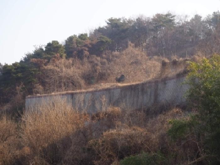 밀양시 삼랑진읍 용성리 임야 경매 물건 사진