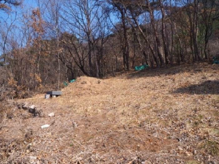 밀양시 상동면 가곡리 임야 경매 물건 사진