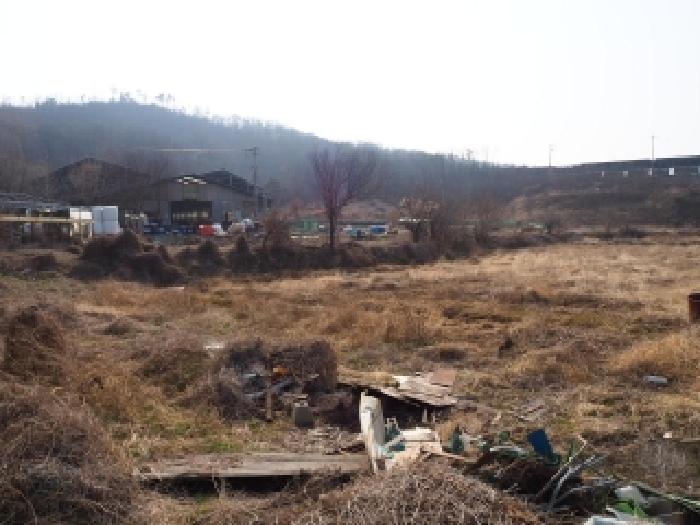 창녕군 영산면 신제리 동물및식물관련시설 경매 물건 사진