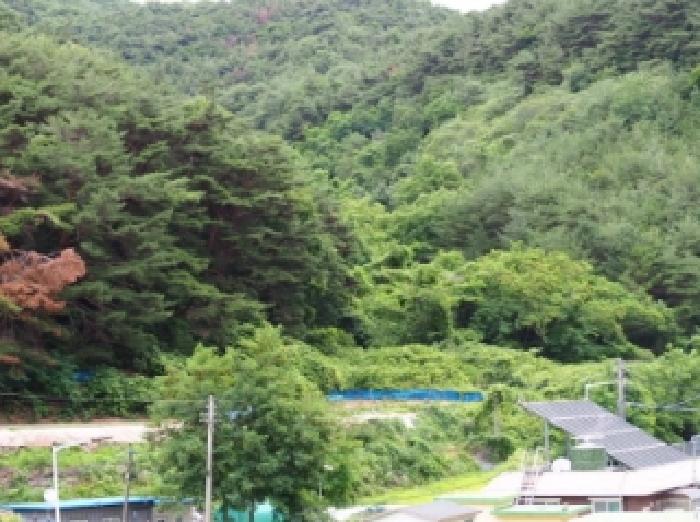 창녕군 창녕읍 옥천리 임야 경매 물건 사진