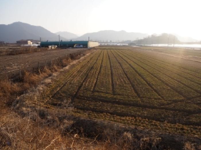 밀양시 상남면 마산리 전답 경매 물건 사진