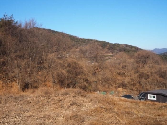 밀양시 단장면 감물리 임야 경매 물건 사진