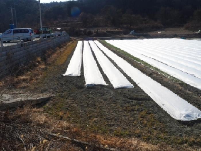 창녕군 장마면 초곡리 전답 경매 물건 사진
