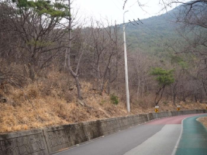밀양시 삼랑진읍 안태리 임야 경매 물건 사진