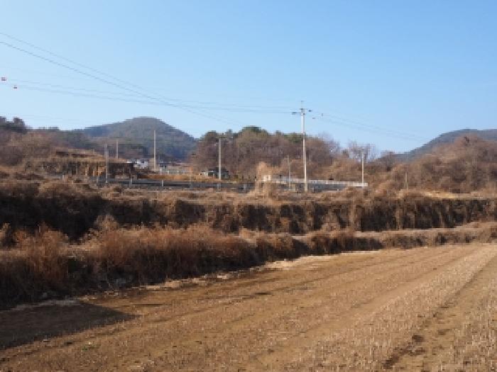 밀양시 단장면 감물리 답 경매 물건 사진