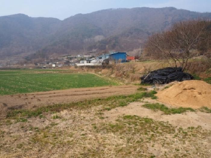 밀양시 무안면 성덕리 전답 경매 물건 사진