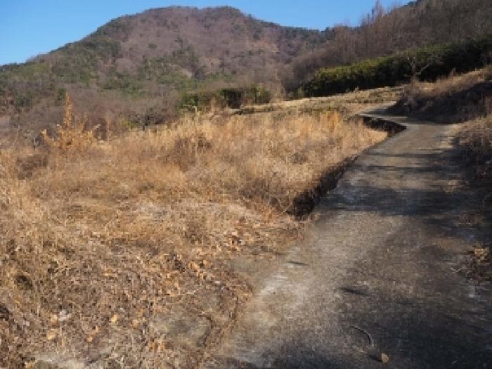 밀양시 단장면 안법리 전 경매 물건 사진
