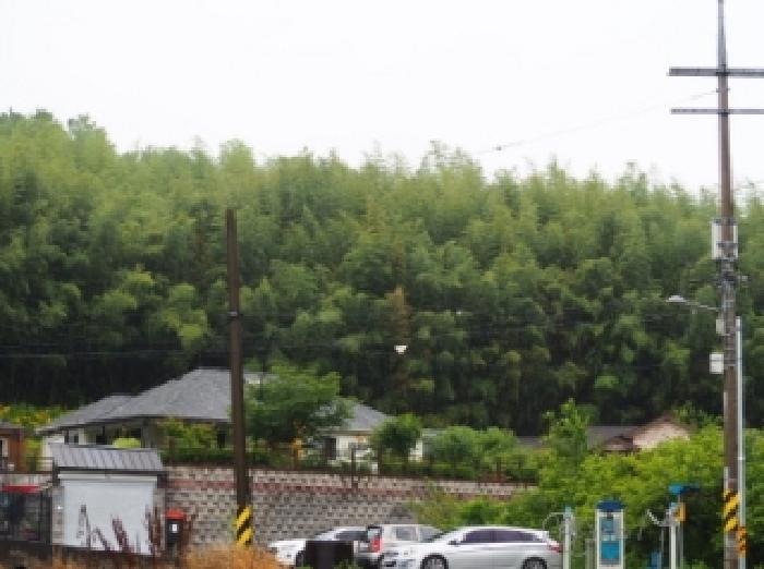 밀양시 삼랑진읍 검세리 임야 경매 물건 사진