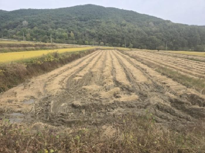 합천군 가야면 구미리 전답 경매 물건 사진