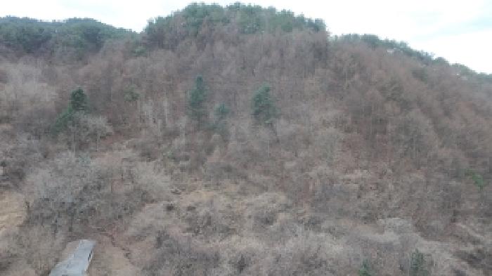 거창군 가북면 우혜리 전답 경매 물건 사진