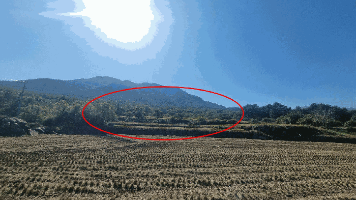 합천군 대병면 장단리 답 경매 물건 사진