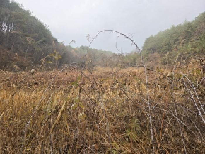거창군 북상면 농산리 대지,임야,전답 경매 물건 사진