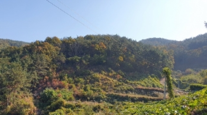 창원시 마산합포구 구산면 임야 경매 물건 사진