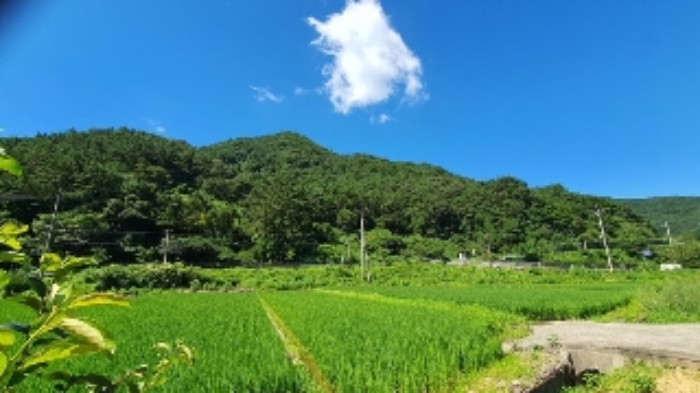창원시 마산합포구 진북면 전 경매 물건 사진