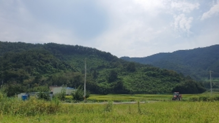 창원시 마산합포구 구산면 단독주택 경매 물건 사진
