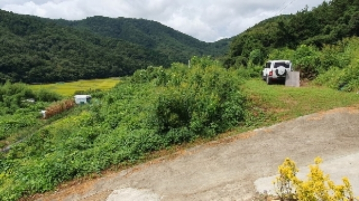 창원시 마산합포구 진전면 답 경매 물건 사진