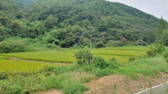 창원시 마산합포구 진전면 전 경매 물건 사진